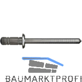 GESIPA Blindniete G-Bulb Flachrundkopf 4,8x 10 Stahl verzinkt mit Stahldorn