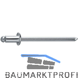 Spenglerniete Flachrundkopf 3.2x10 Monel mit Edelstahldorn