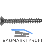 Steckdosen und Ger�teschraube 3.2x 15 verzinkt-blau