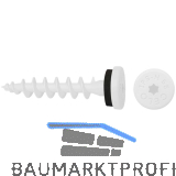 CELO Isolierplattenschraube IPS-H 55- weiss