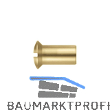 H�lsenmutter Linsensenkkopf M 6x 16 Messing blank mit Schlitz