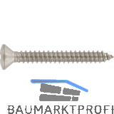 ISO14587 3.9x 16 Torx Edelstahl A2 Linsensenkkopf-Blechschraube