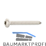 ISO14585 3.5X 19 Torx15 Edelstahl A4 Linsen-Blechschraube ~DIN7981C