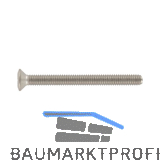 ISO14584 M 6x 60 Torx 30 Edelstahl A4 Linsensenkschraube (DIN966A)