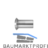 H�lsenmutter Linsensenkkopf M 6x 20 Messing vernickelt mit Schlitz