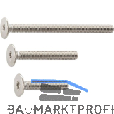 Griffschraube M 4x25 mm, Flach-Senkkopf mit TX 20, Stahl vernickelt
