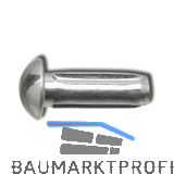 DIN1476 2x 6 verzinkt Halbrundkerbnagel