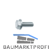 Sechskant-Flanschschraube KL100 M10 x 20 verzinkt / Ripp-Schraube