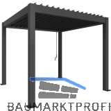 BIOHORT Pergola Gr. 4 x 3 dunkelgrau