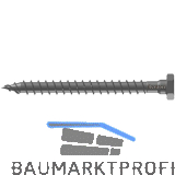 EUROTEC Transportanker-Schraube 11 x 160 mm