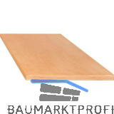 LISTA Multiplexplatte 3000x800x40mm