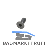 SCM Ersatzschrauben Satz zu Xylent-Messer