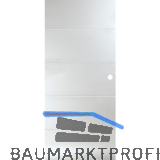 SOLIDO Glasschiebet�r Liga 4 Satiniert, mit Muschelgriff Bohrung 820x2100