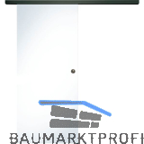 SOLIDO Glasschiebet�r Set Klarglas, Beschl�ge/Muschelgriff schwarz, 820x2100