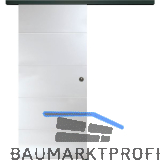 SOLIDO Glasschiebet�r Set Liga 4 Sat. Beschl�ge/Muschelgriff schwarz, 920x2100