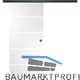 SOLIDO Glasschiebet�r Set Sensita 15, Beschl�ge/Muschelgriff schwarz, 920x2100