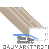 K�GELE Treppenwinkel Alu Edelstahloptik, gelocht, 25/20/2700 mm