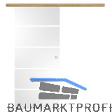 Glasschiebet�r Set Sensita 15, 820x2100mm Inlay CPLRisseiche Muschelgriff silber