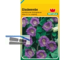 Gemse- u.Blumensamen \Botana\ Kleinformat (81x125mm) B08