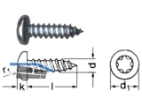 Blechschraube Linsenkopf A2 Torx 20 DIN 7981 4,2 x 38