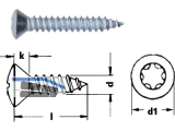 Blechschraube Linsensenkkopf A2 Torx 25 DIN 7983 5,5 x 19