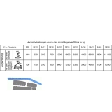 DIN 580 M12 blank Ringschraube mit CE Kennzeichnung