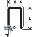 BOSCH Klammern Typ 55 Lnge 16 mm Breite 6 mm