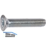 DIN7500ME (MT) M 6x12 Torx 30 verzinkt gewindefurchende Senkschr.