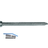 Rahmenanker 7.5x342 Senkkopf 11 Torx30 verzinkt fr dbellose Verschraubung