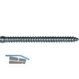 Rahmenanker 7.5x112 Zylinderkopf 7.5 Torx30 verzinkt dbellose Verschraubung