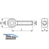 DIN 444BL 4.6 M10x 50 blank Augenschraube mit Gewinde bis Kopf