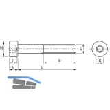 DIN6912 8.8 M10x 30 blank Zylinderschraube mit niedrigem Kopf und Innensechskt.