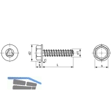 DIN7500DE (D) M 6x12 verzinkt gewindefurchende 6kt-Schraube mit Bund