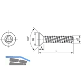 DIN7500ME (MT) M 6x12 Torx 30 verzinkt gewindefurchende Senkschr.