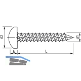 DIN7981C 3.9x 16 Torx20 verzinkt Linsen-Blechschraube ~ISO14585