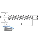 DIN7981F 4.2x9.5 Phillips-KS verzinkt Linsen-Blechschrauben stumpf ~ISO7049