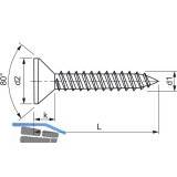 DIN7982C 4.2x 70 Phillips-KS Edelstahl A2 Senkkopf-Blechschraube ~ISO 7050