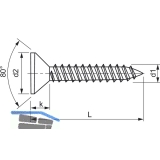 DIN7982C 3.9x 25 Phillips-KS Edelstahl A2 Senkkopf-Blechschraube ~ISO 7050