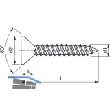 DIN7982C 2.9x6.5 Torx10 verzinkt Senkkopf-Blechschraube ~ISO14586