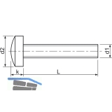 ISO14583 4.8 M 4x12 Torx 20 verzinkt Linsenschraube (DIN7985A)
