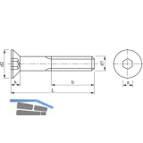 ISO10642 8.8 M 4x 10 verzinkt Senkschraube mit Innensechskant (~DIN7991)