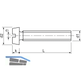 ~ISO1207 M 6x 10 Edelstahl A2 Zylinderschraube mit Schlitz (DIN 84A)