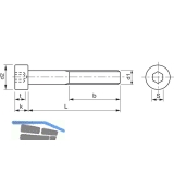 ISO4762 8.8 M20x 65 verzinkt Zylinderschraube mit Innensechskant (DIN 912)