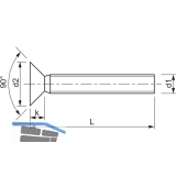 ~ISO7046-1 4.8 M 4x 90 Phillips Kreuzschlitz verzinkt Senkschraube (DIN 965A)