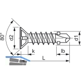 DIN7504 4.8x45 Phillips Kreuzschlitz verzinkt Flgelbohrschraube Senkkopf