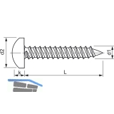 DIN7981C 4.2x 50 Torx20 Edelstahl A2 Linsen-Blechschraube ~ISO14585