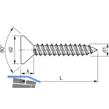 DIN7982C 4.2x 32 Torx20 Edelstahl A2 Senkkopf-Blechschraube ~ISO14586