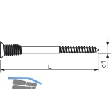 FISCHER JUSS 6.0x145 Justierschraube fr Abstandsmontagen verzinkt-blau