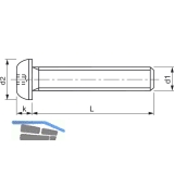 ~ISO7380 8.8 M 4x 10 Torx 20 verzinkt Linsenschraube