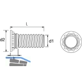 HA-CO Einpressgewindebolzen M3x10 mm verzinkt